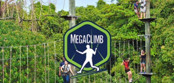 Mega Climb I High Ropes