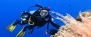 PADI Open Water Dive Course 3D/2N